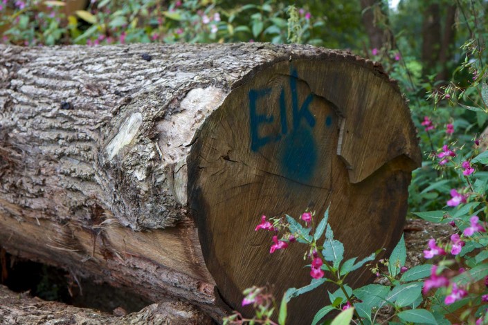 Wie zijn wij Inlands Hout Van Leersum