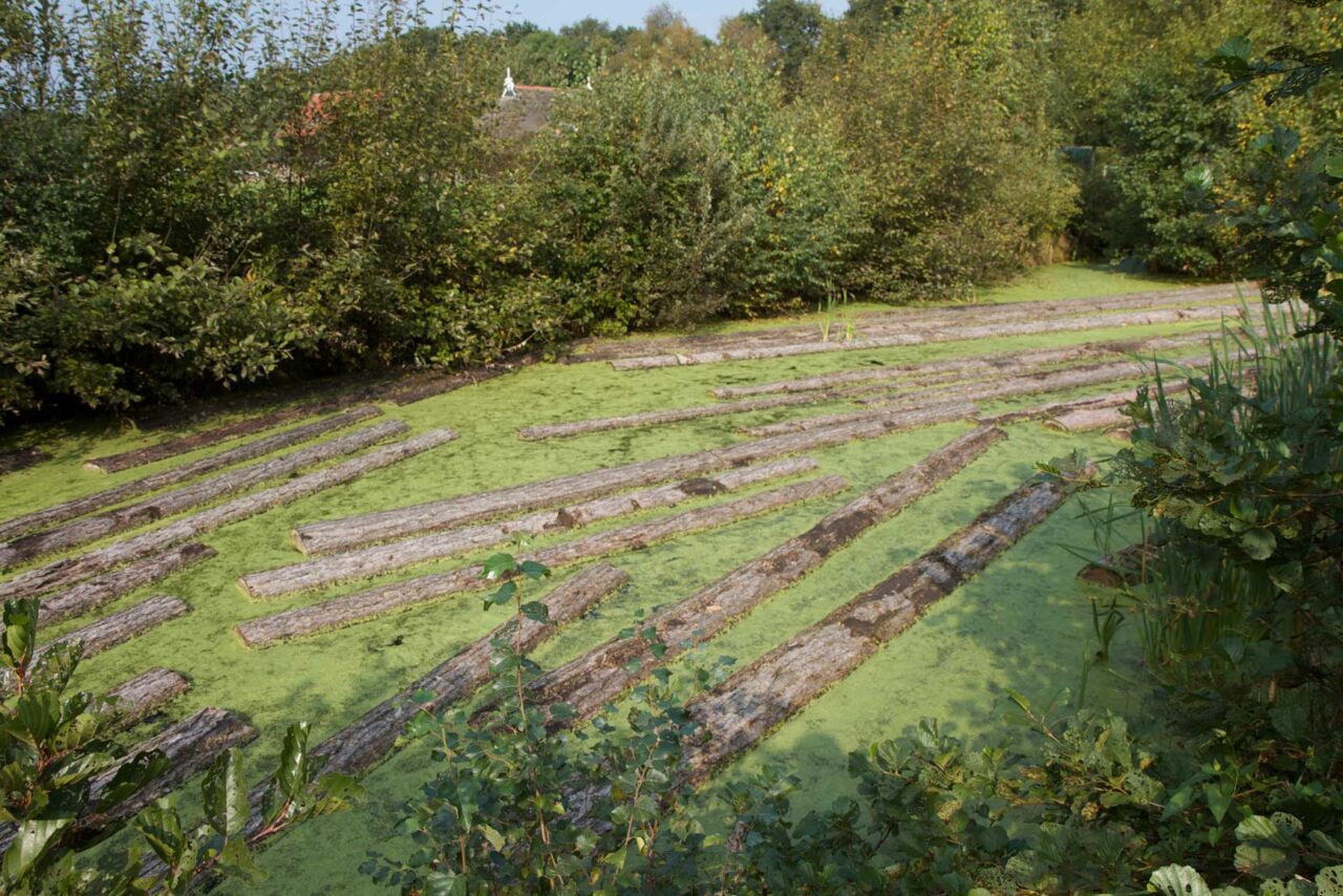 Waar zijn wij goed in? Inlands Hout Van Leersum